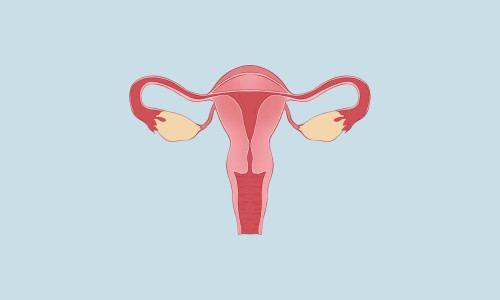 孕妇优质蛋白食物主要是哪些食物-孕妇优质蛋白食物排行、孕妇优质蛋白食物主要是哪些食物 -孕妇优质蛋白食物网