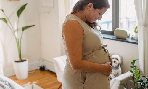 孕妇优质蛋白质食物有哪些-孕妇优质蛋白食物排行、孕妇优质蛋白食物主要是哪些食物 -孕妇优质蛋白食物网