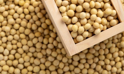 孕期优质蛋白食物-孕妇优质蛋白食物排行、孕妇优质蛋白食物主要是哪些食物 -孕妇优质蛋白食物网