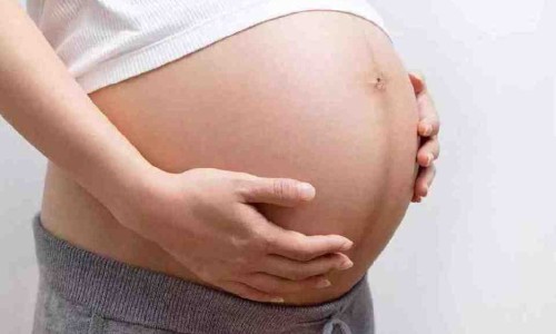 孕妇优质蛋白质食物有哪些-孕妇优质蛋白食物排行、孕妇优质蛋白食物主要是哪些食物 -孕妇优质蛋白食物网